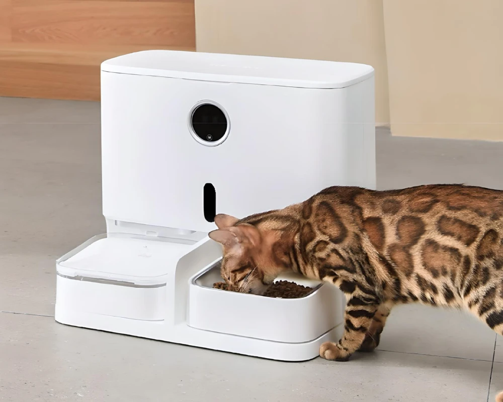 best cat feeder with camera